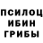 Галлюциногенные грибы мухоморы saturnalia 144