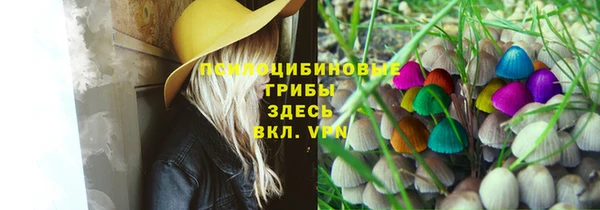 ГАЛЛЮЦИНОГЕННЫЕ ГРИБЫ Магадан