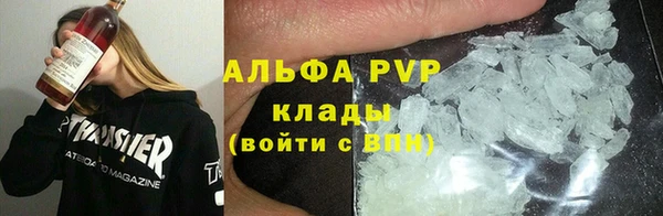 ПСИЛОЦИБИНОВЫЕ ГРИБЫ Дмитров