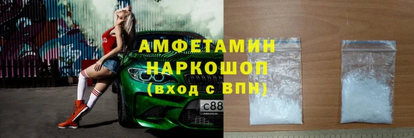 ГАЛЛЮЦИНОГЕННЫЕ ГРИБЫ Дмитриев