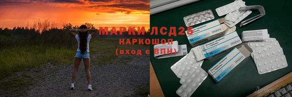 гидра Гусев