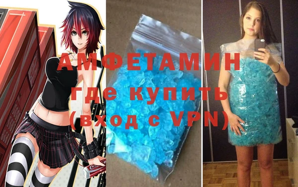 гидра Гусев