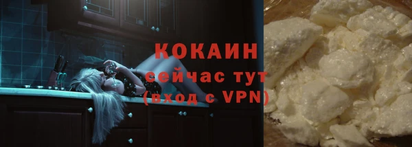 стаф Гусь-Хрустальный