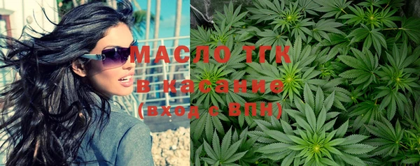 стаф Гусь-Хрустальный