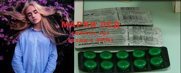 PSILOCYBIN Мегион