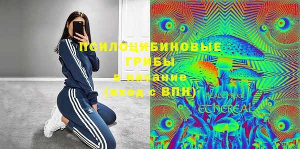 ГАЛЛЮЦИНОГЕННЫЕ ГРИБЫ Магадан