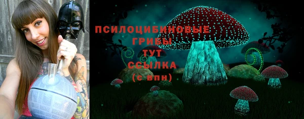 ГАЛЛЮЦИНОГЕННЫЕ ГРИБЫ Магадан