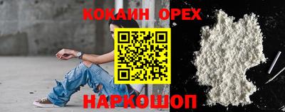 крисы Дубна