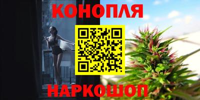 сатива Донецк