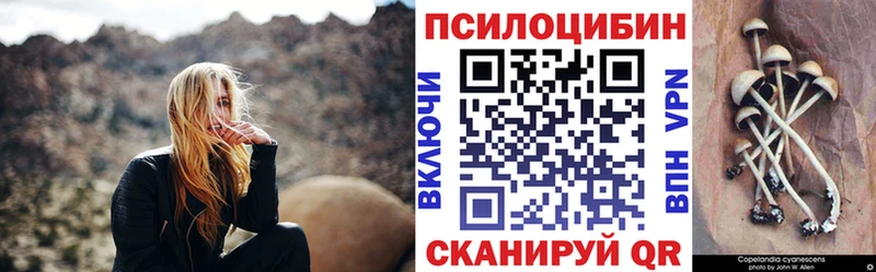 Псилоцибиновые грибы мицелий Дальнереченск