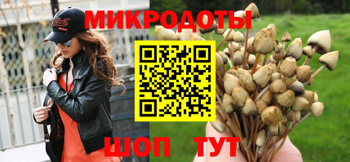 продажа наркотиков  Вход с VPN  Дальнереченск  Галлюциногенные грибы MAGIC MUSHROOMS 