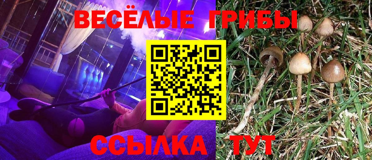 Галлюциногенные грибы ЛСД Дальнереченск